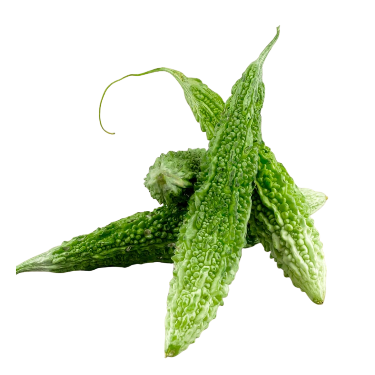 Fresh Vegetable - Karela
